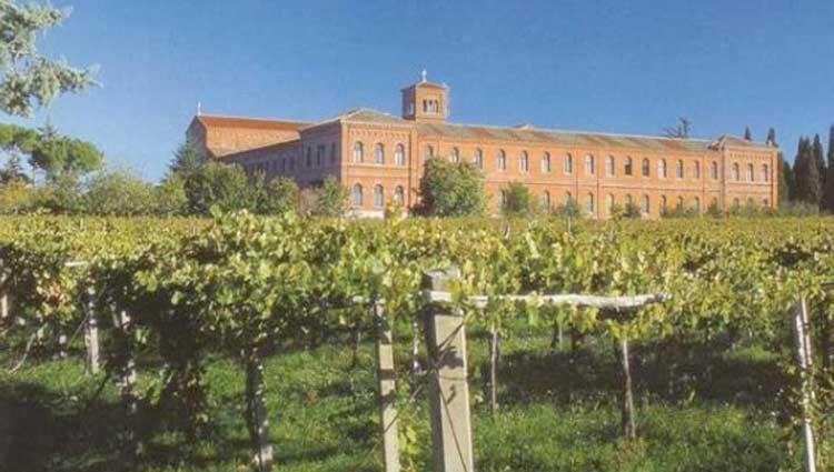 A Casa Di Marco Guesthouse - Apt Di Ciampino E Stazione Per Roma Marino Εξωτερικό φωτογραφία